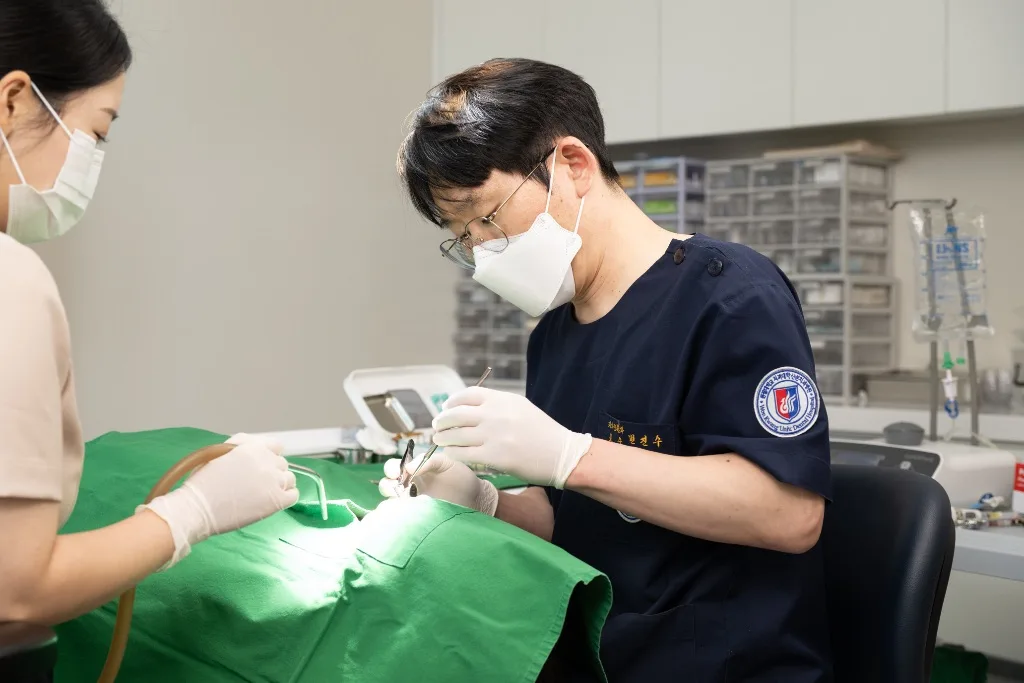 치과보철과 전문의 변진수 원장의 정밀 보철 진료 모습